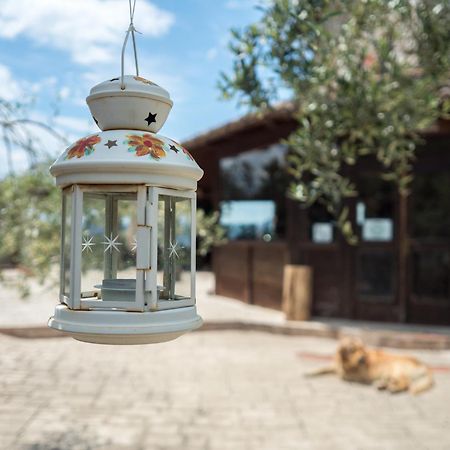 Villa De Luccheri Frasso Telesino Exteriér fotografie