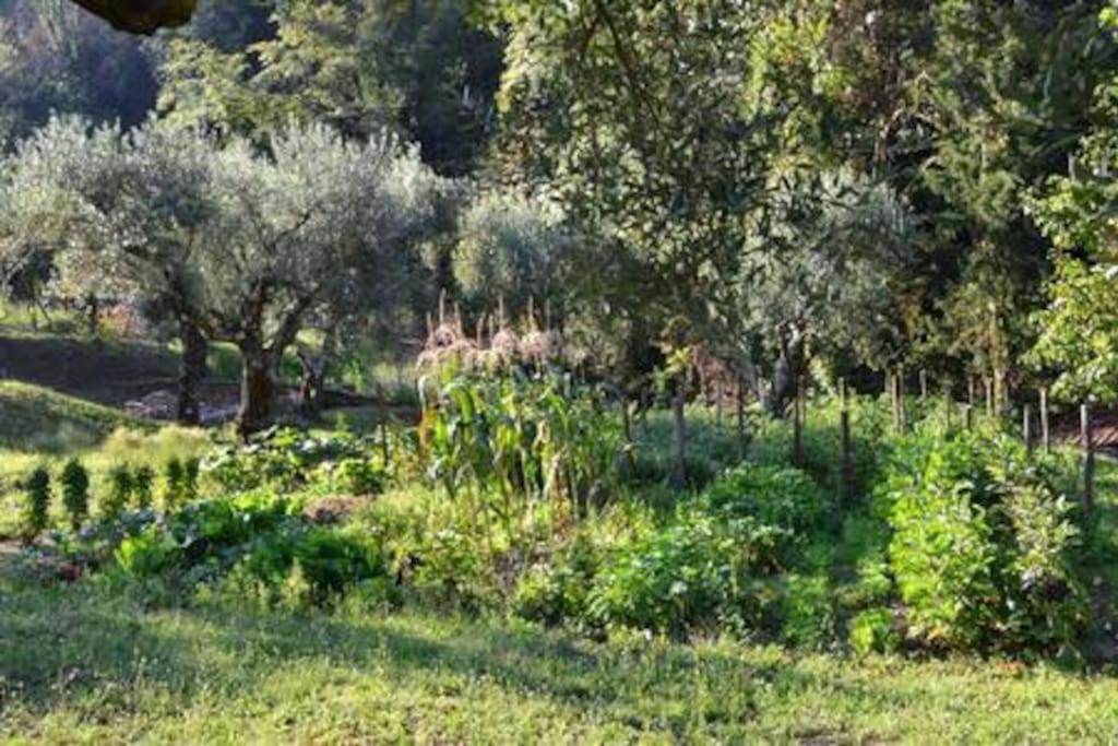 Villa De Luccheri Frasso Telesino Exteriér fotografie