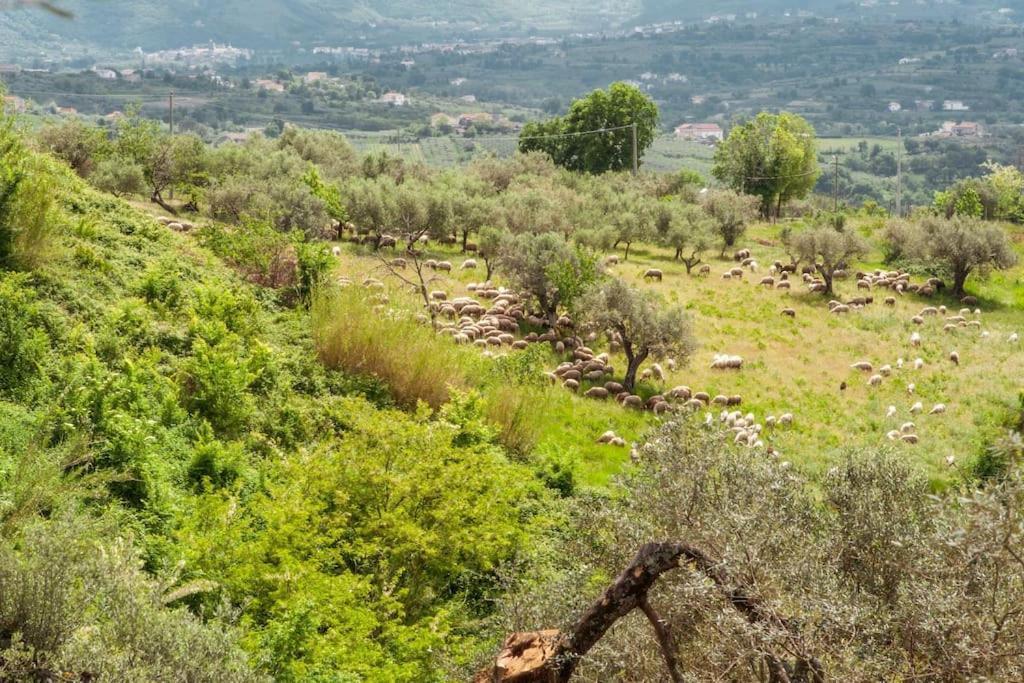Villa De Luccheri Frasso Telesino Exteriér fotografie