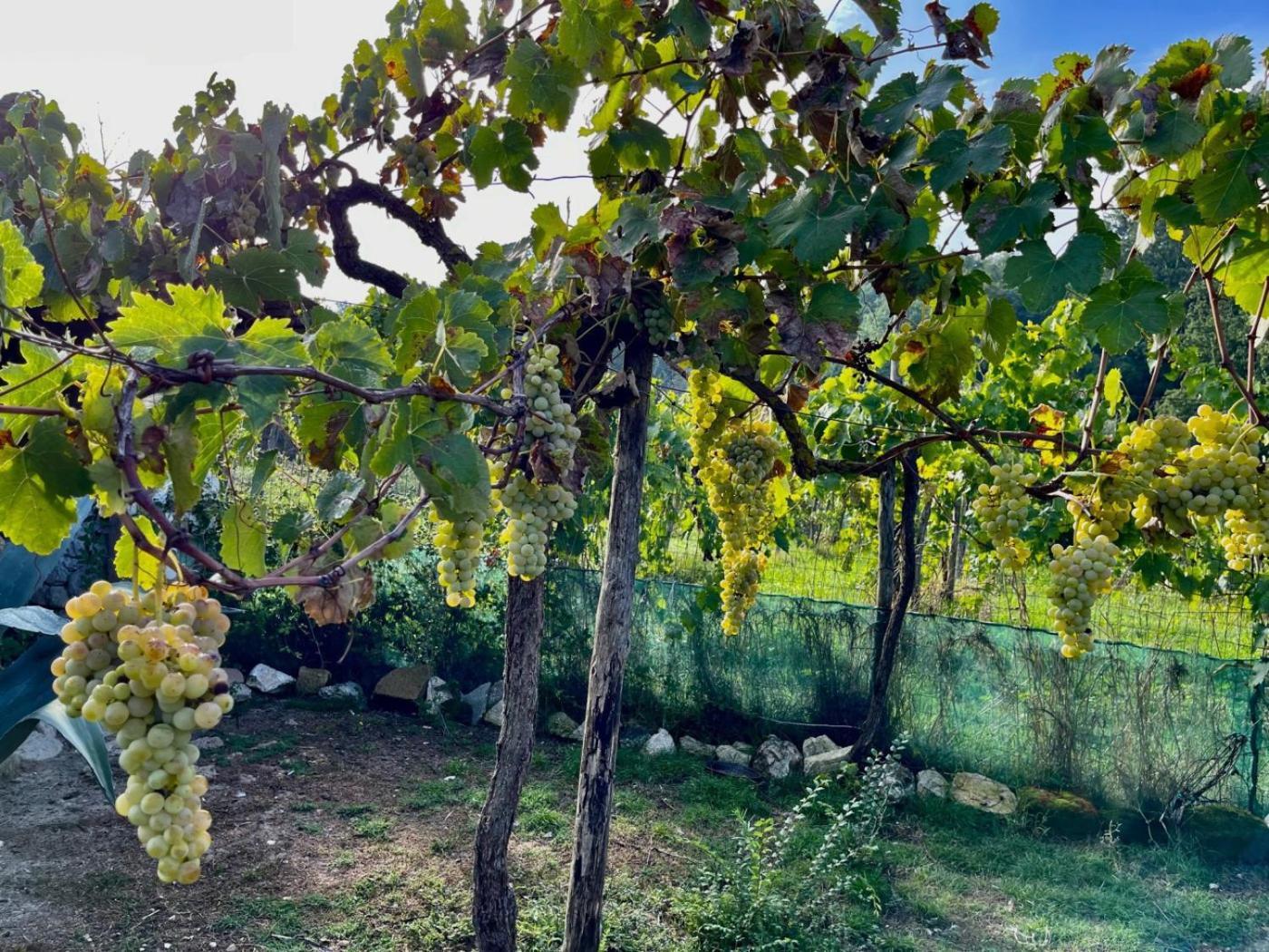 Villa De Luccheri Frasso Telesino Exteriér fotografie