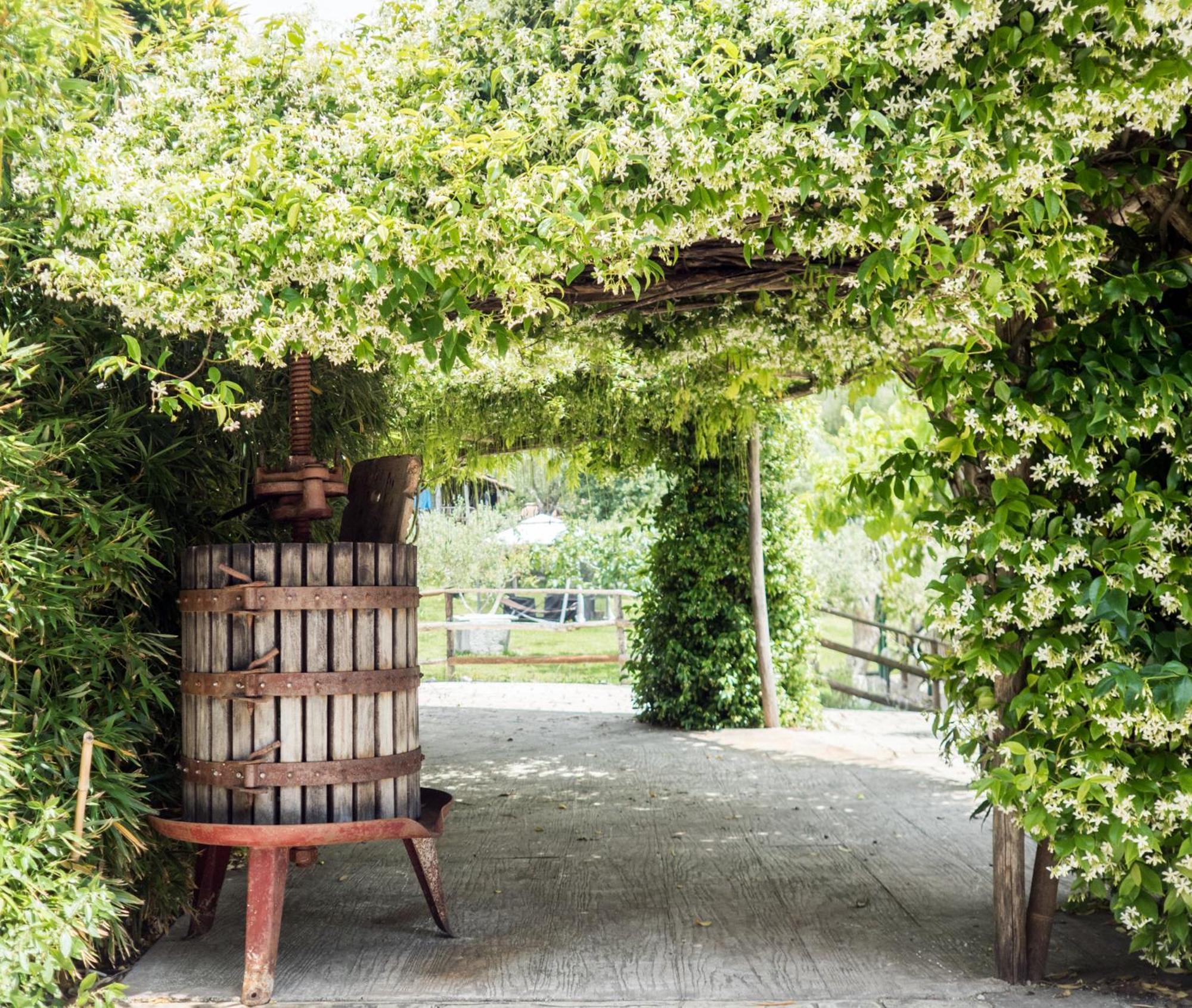 Villa De Luccheri Frasso Telesino Exteriér fotografie